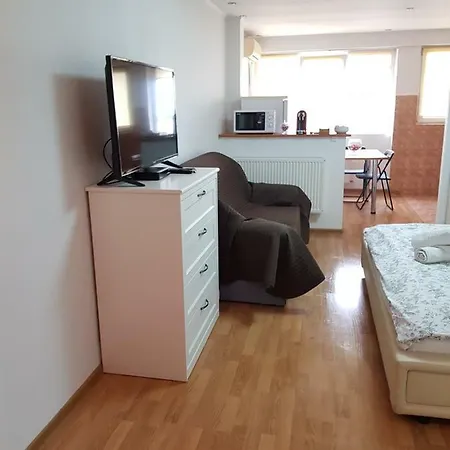 Luxury Rooms Ferdinand 3 부쿠레슈티