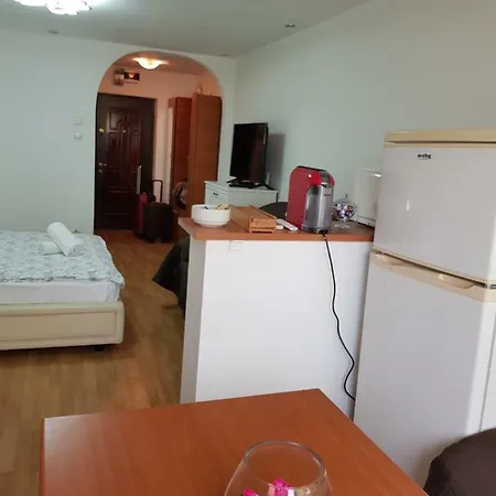 Luxury Rooms Ferdinand 3 * 부쿠레슈티